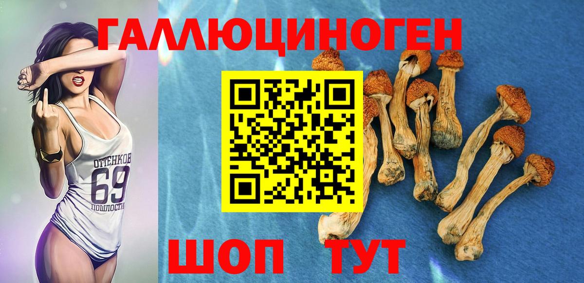 Псилоцибиновые грибы мицелий Губкин
